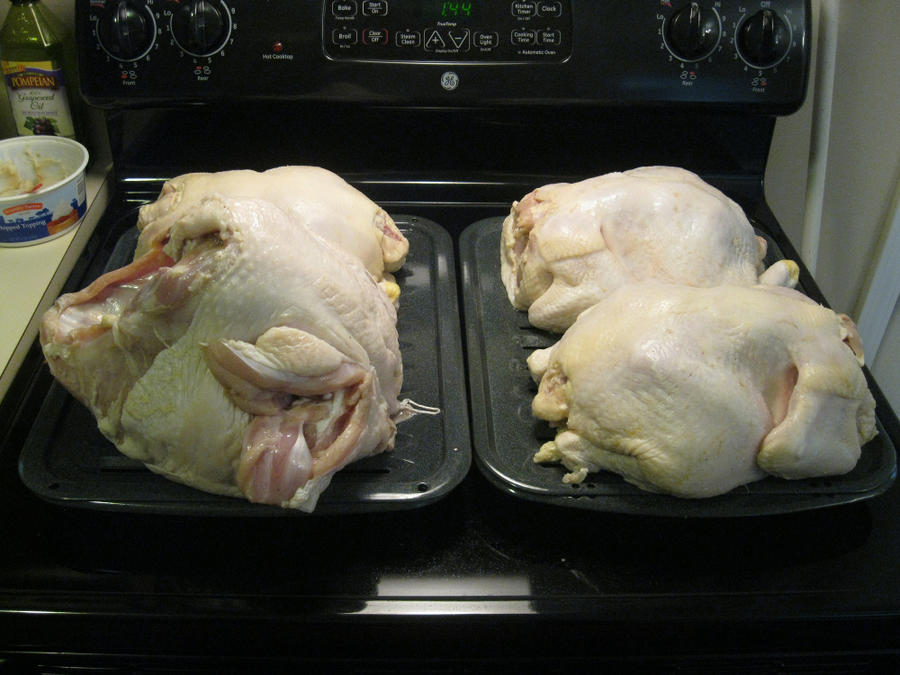 brined birds.JPG