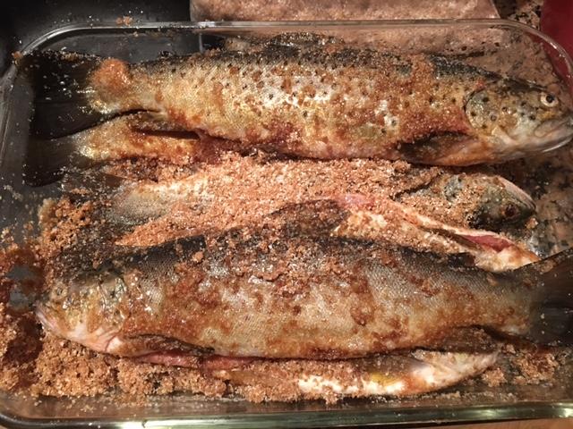 brined trout.JPG