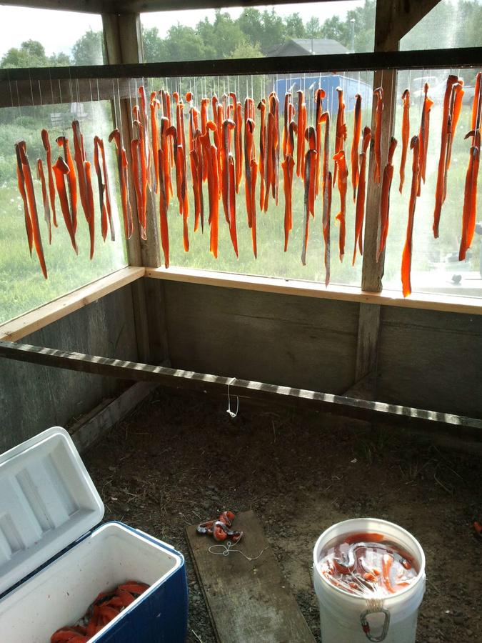 Brining and Hanging Strips.jpg