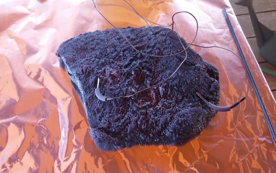 Brisket 07-16-10.JPG
