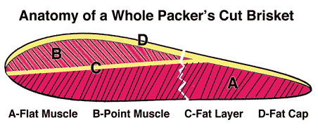 brisket_diagram.gif