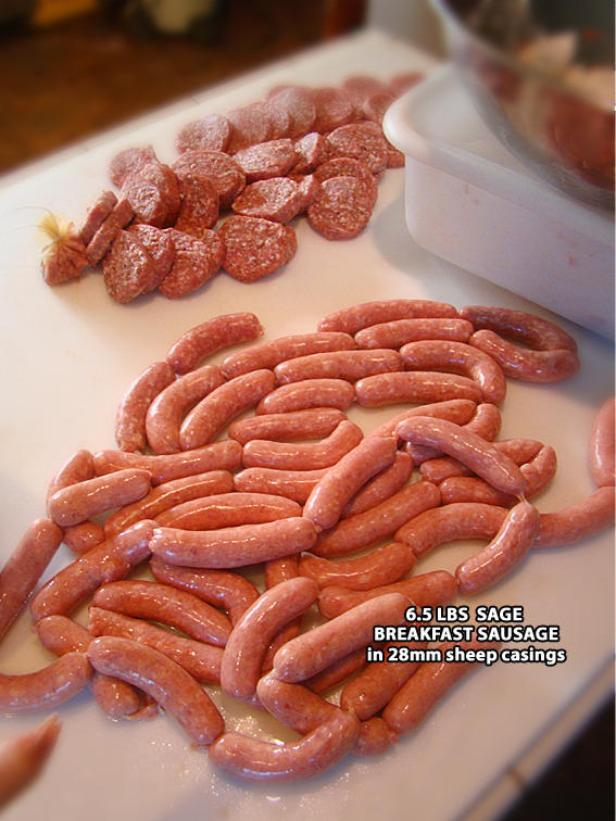 BrkSaus_linked_lg.jpg
