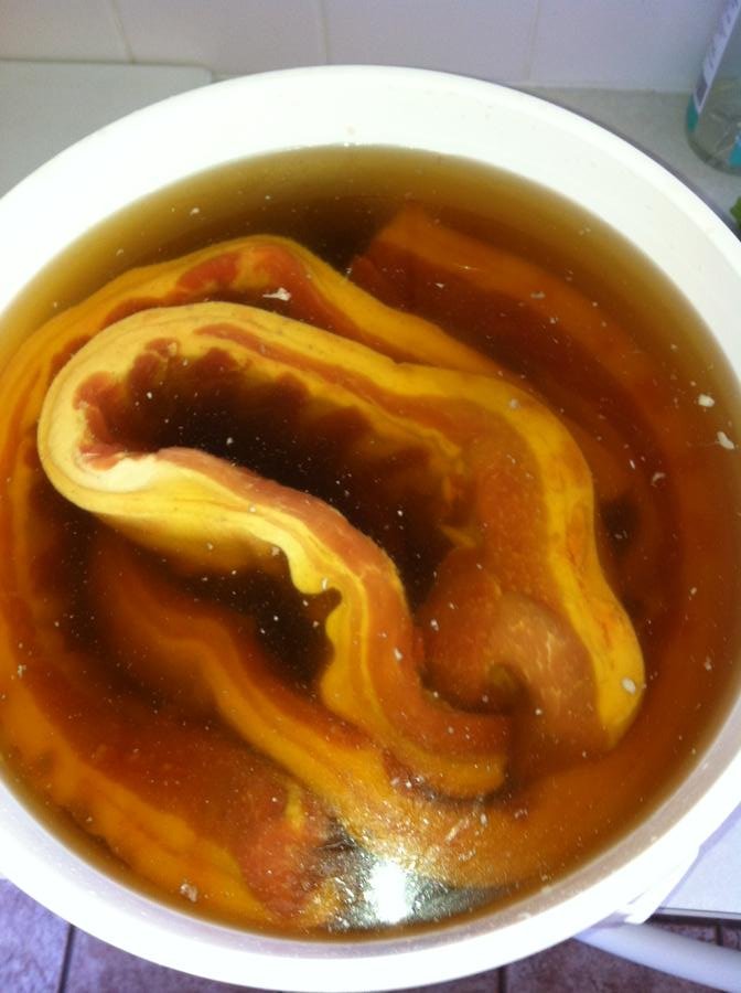 bucketobacon1.JPG