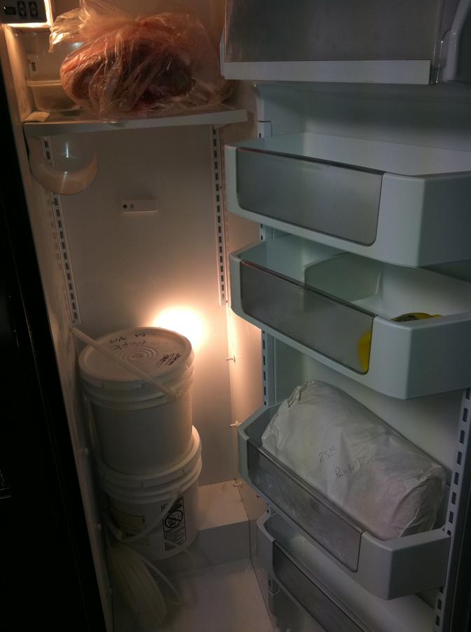 bucketsinfridge.JPG