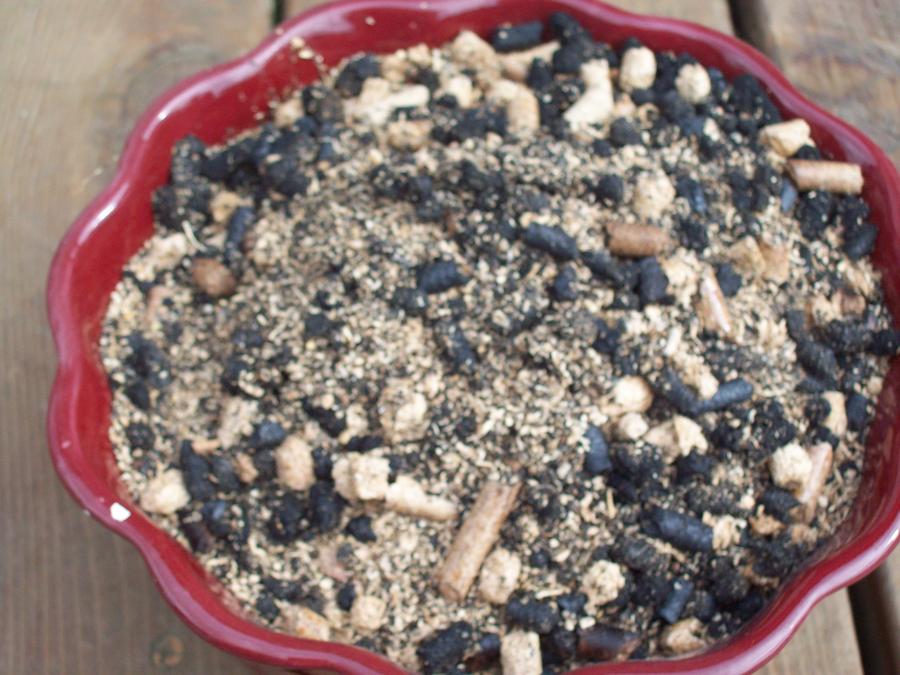 burntpellets.jpg
