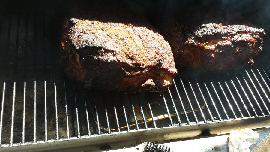 butts at 2.5hrs 2.jpg