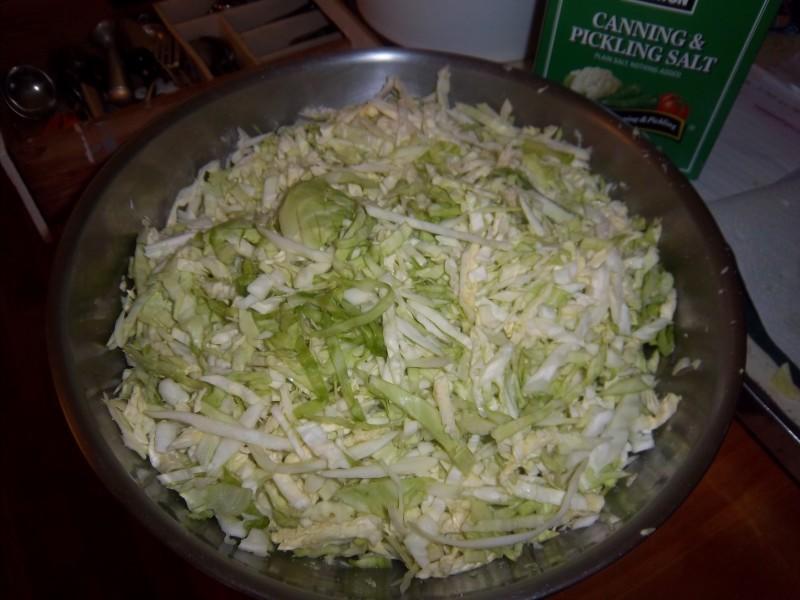 cabbage2.jpg