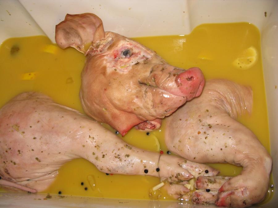 Cabin Camping 006.jpg