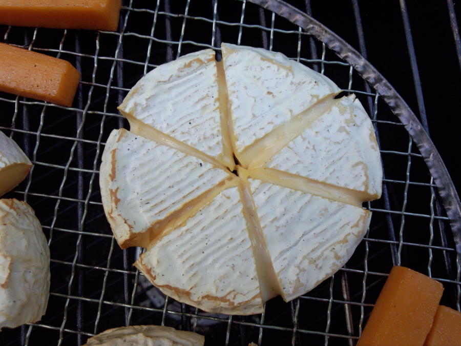 camembert 2a.jpg