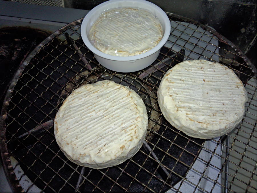 camembert1c.jpg