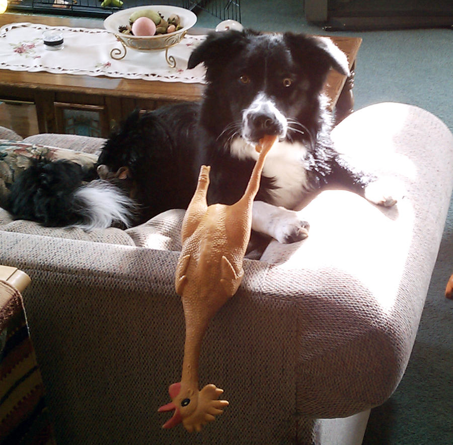 CameraZOOM-20110319144802.jpg