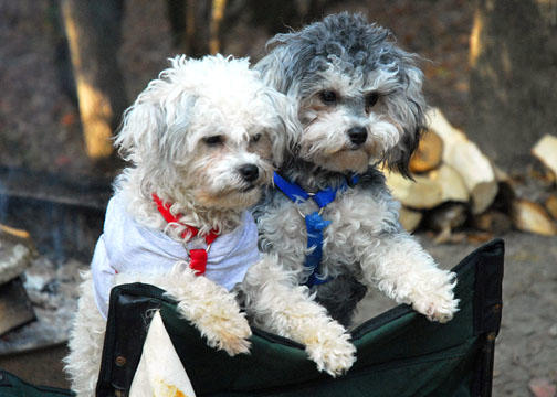 Camping girls_1448.jpg