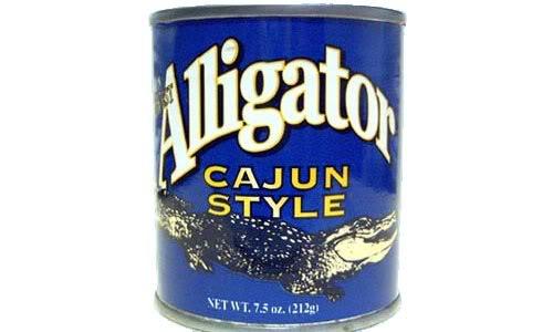 cannedalligator.jpeg