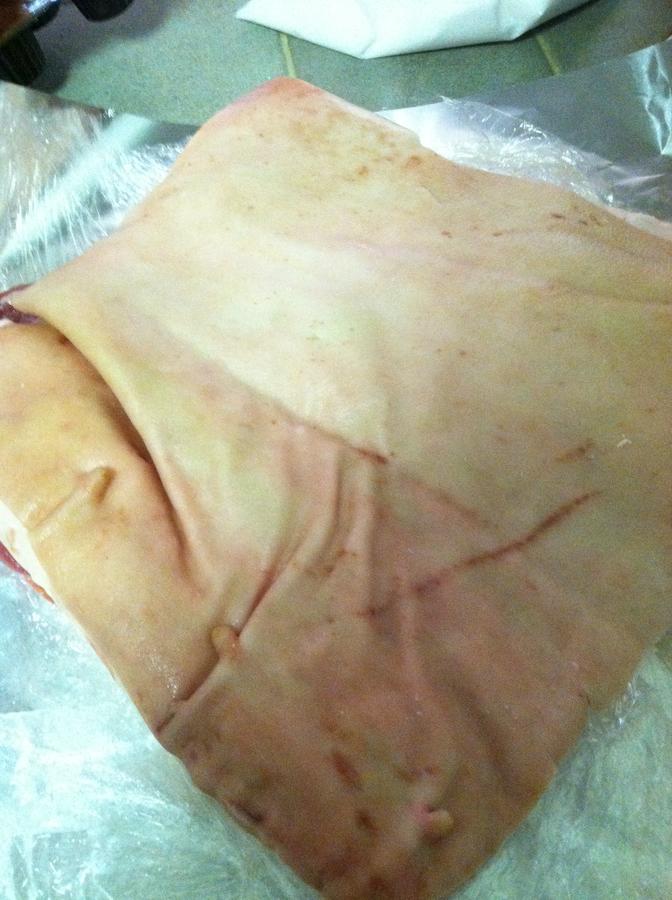 capacole 004.JPG