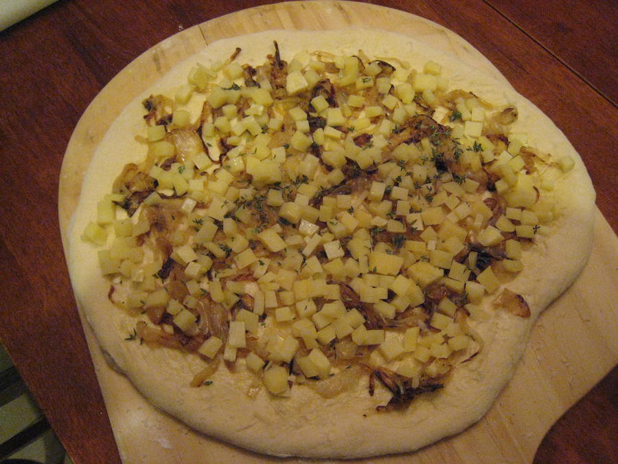 Carmelized Onion and Ementhaler Cheese.jpg