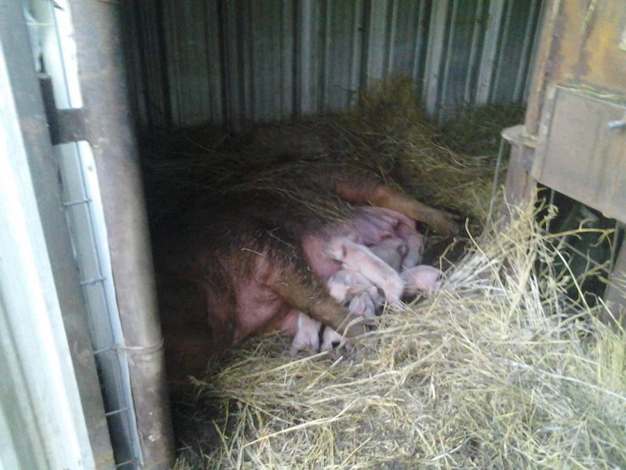 cell phone dump 013.jpg