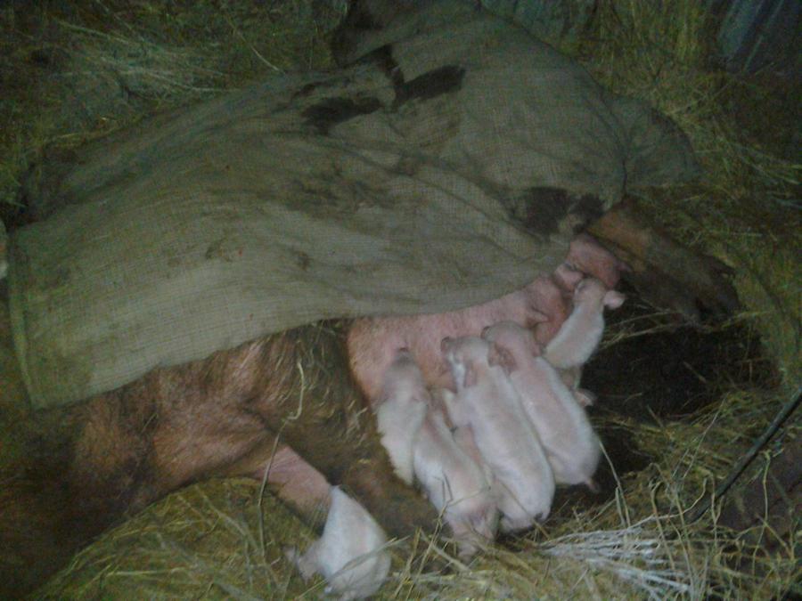 cell phone dump 015.jpg