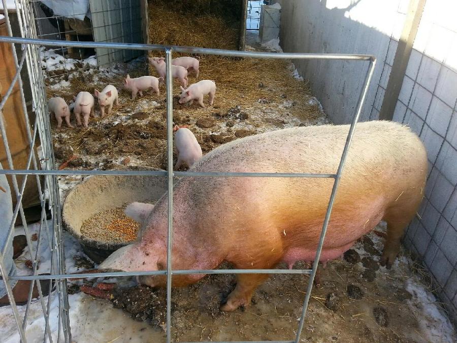 cell phone dump 016.jpg