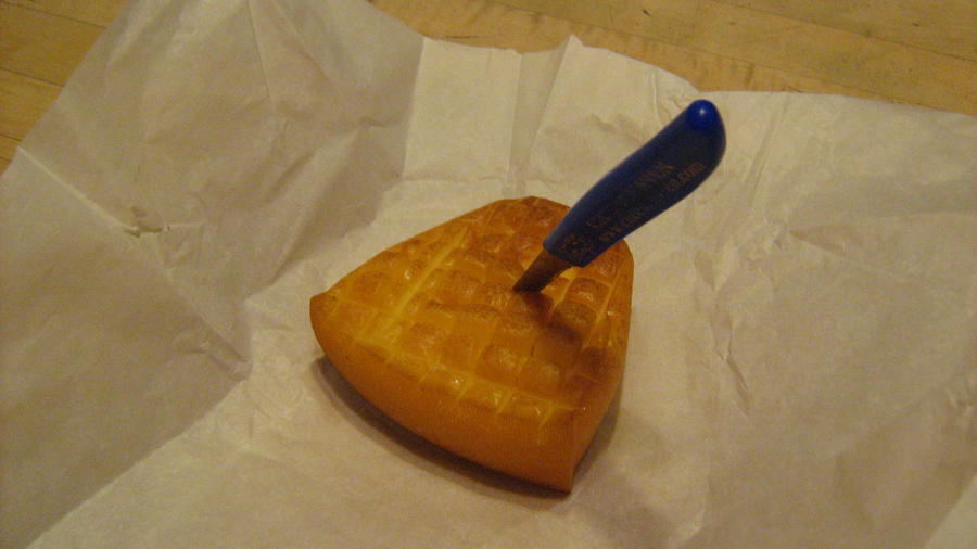 cheese and temp. cal. -5-16-12 003.JPG