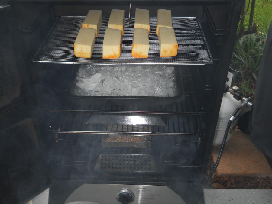 cheese-muenster-8-13-11 7.JPG