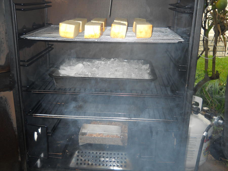 cheese-muenster-8-13-11 8.JPG