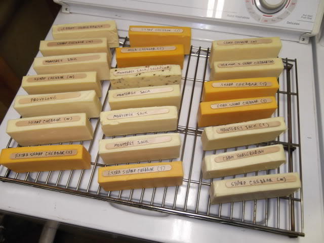 cheese11-21-12011.jpg