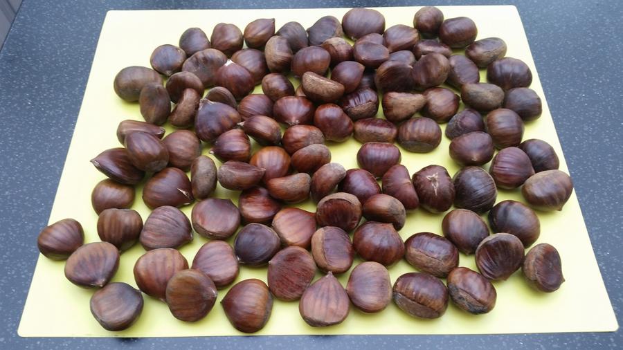 Chestnuts 1.jpg