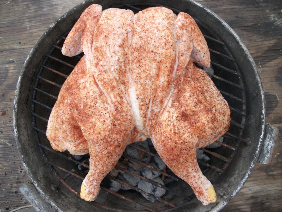 chicken 001.JPG