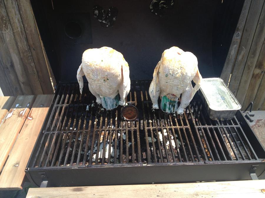 Chicken 1.jpeg