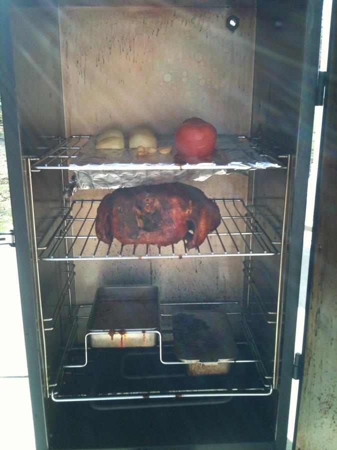 Chicken 3-21-12 02.JPG