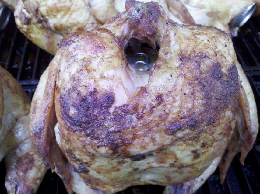 chicken bearview.jpg