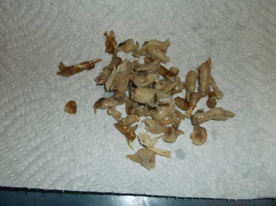 CHICKEN FEET 003.JPG