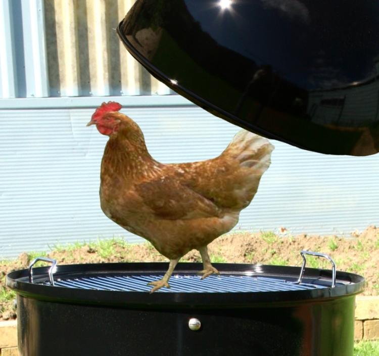 Chicken in the smoker. for forum.jpg
