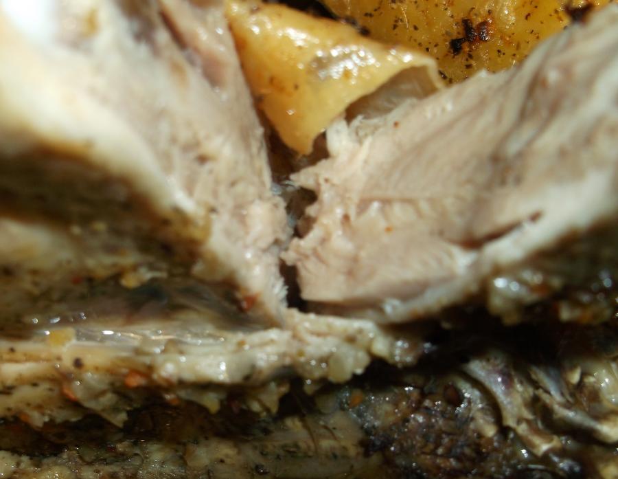 CHICKEN INJECTION 0021.JPG