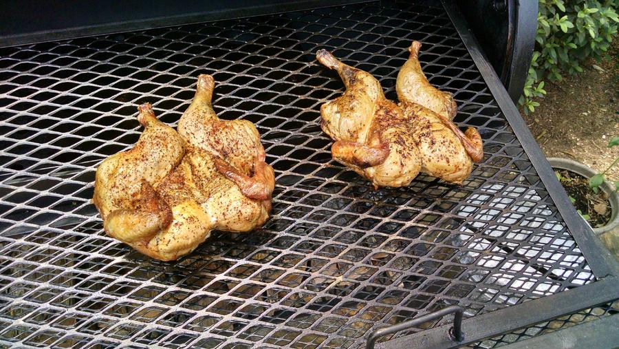 chicken6.jpg