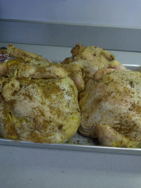 chickens bathed powdered and ready to go.jpg