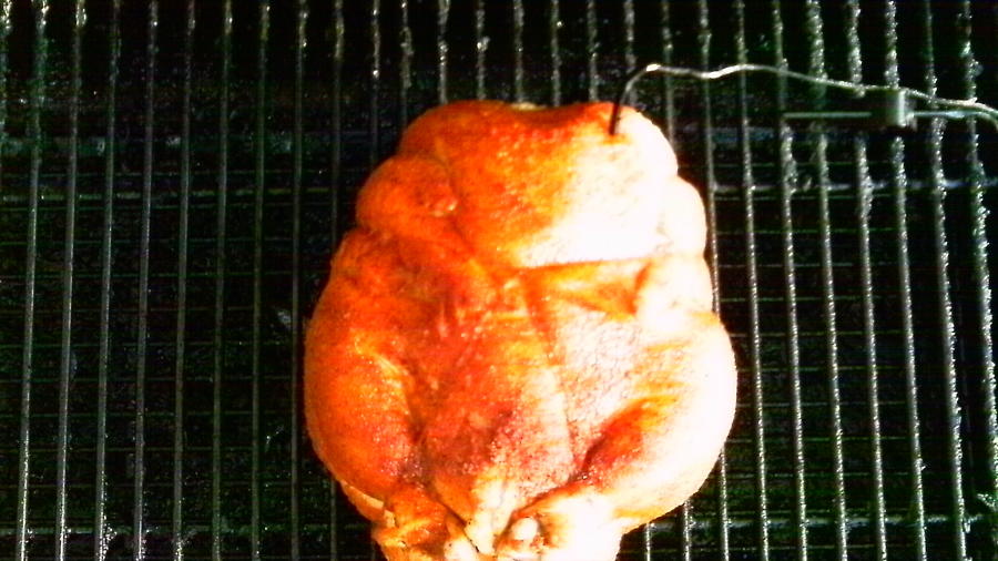 chik 004.JPG