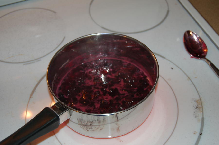 christmas 2010 149.JPG