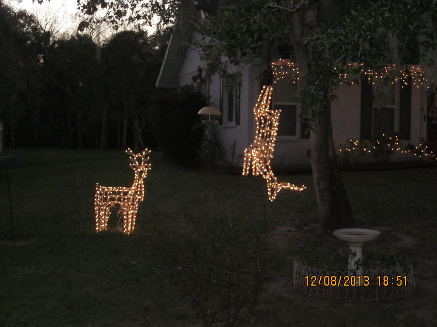 Christmas Lights 004.JPG