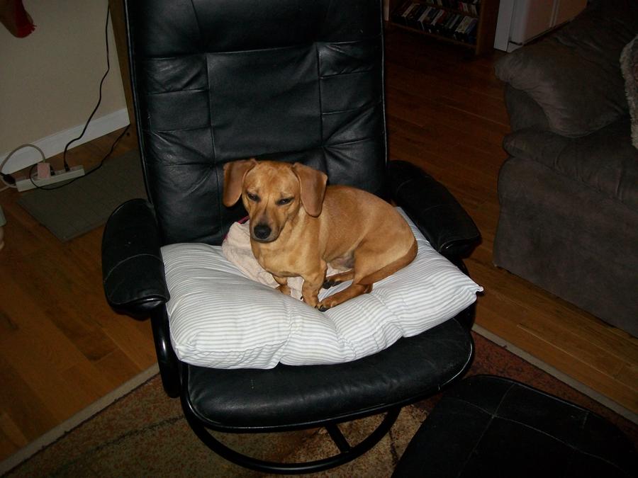 CHRISTMAS PICS 005.jpg