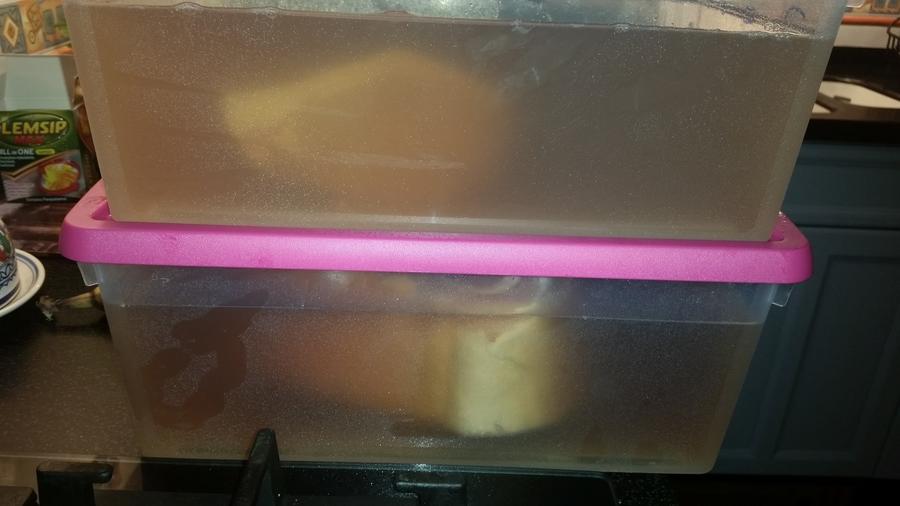 Cloudy brine after 7 days.jpg