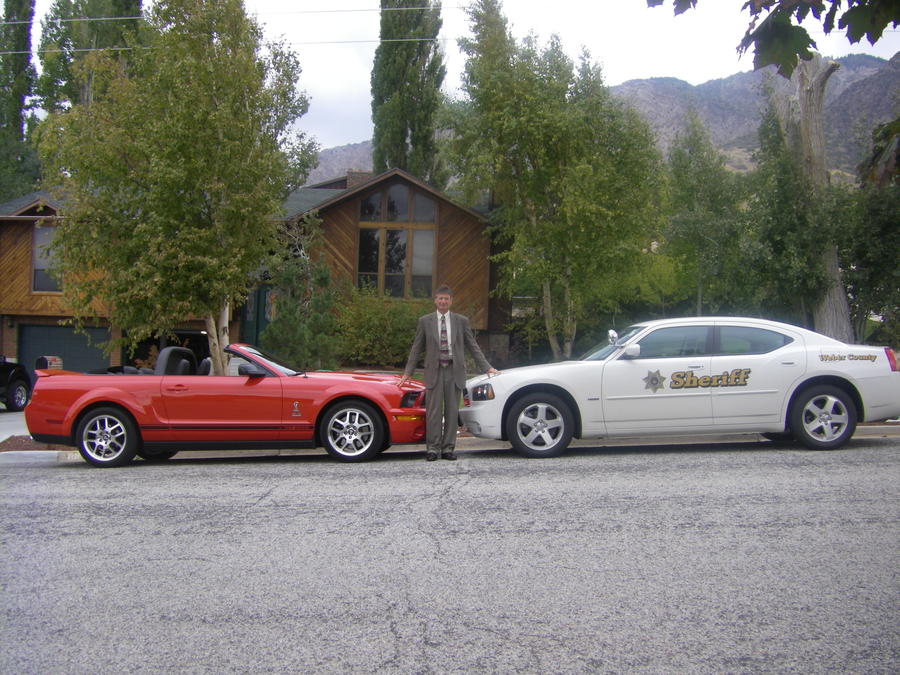 cobra vs. cop car 001.jpg