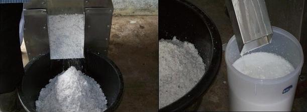 coconut-11.jpg