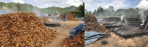 coconut shell charcoal-1.jpg