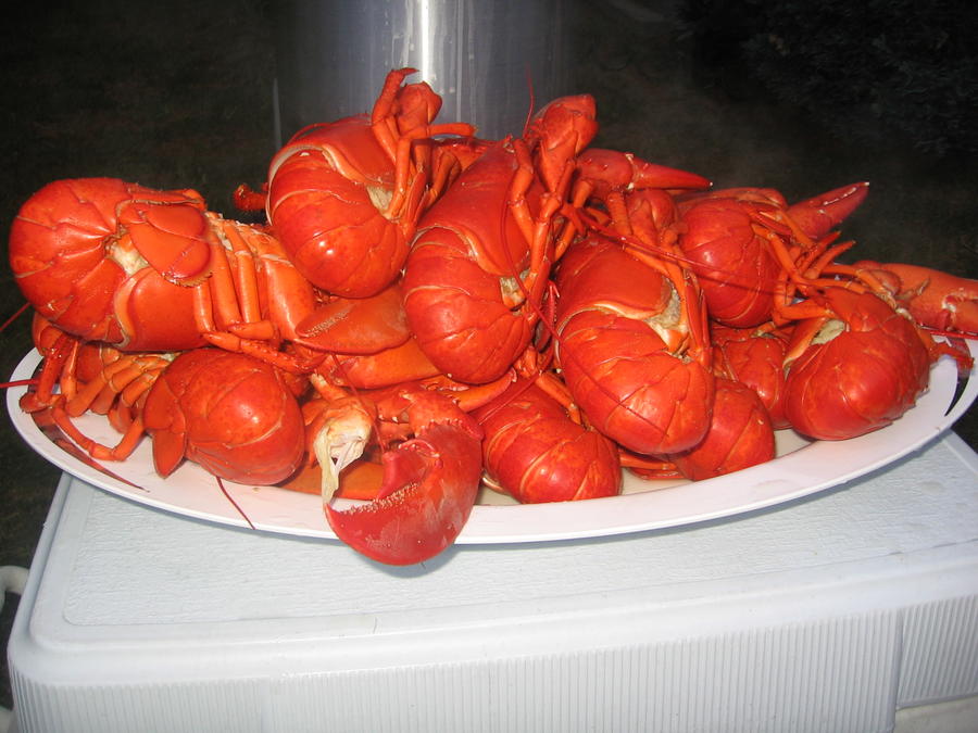 Codzilla and Lobsters 041.JPG