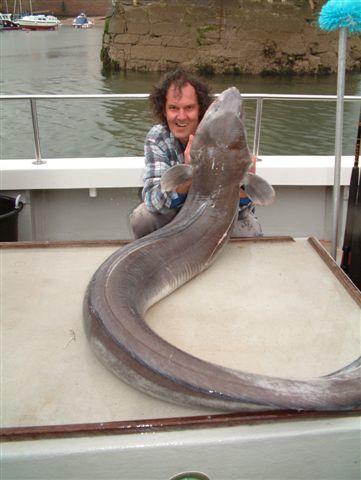 Conger Eel.jpg