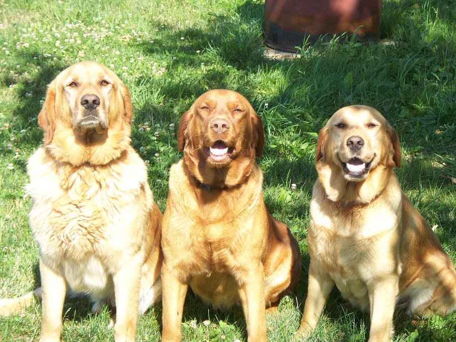 Copy of 100_1799.JPG