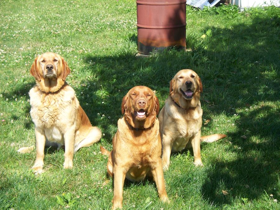 Copy of 100_1800.JPG