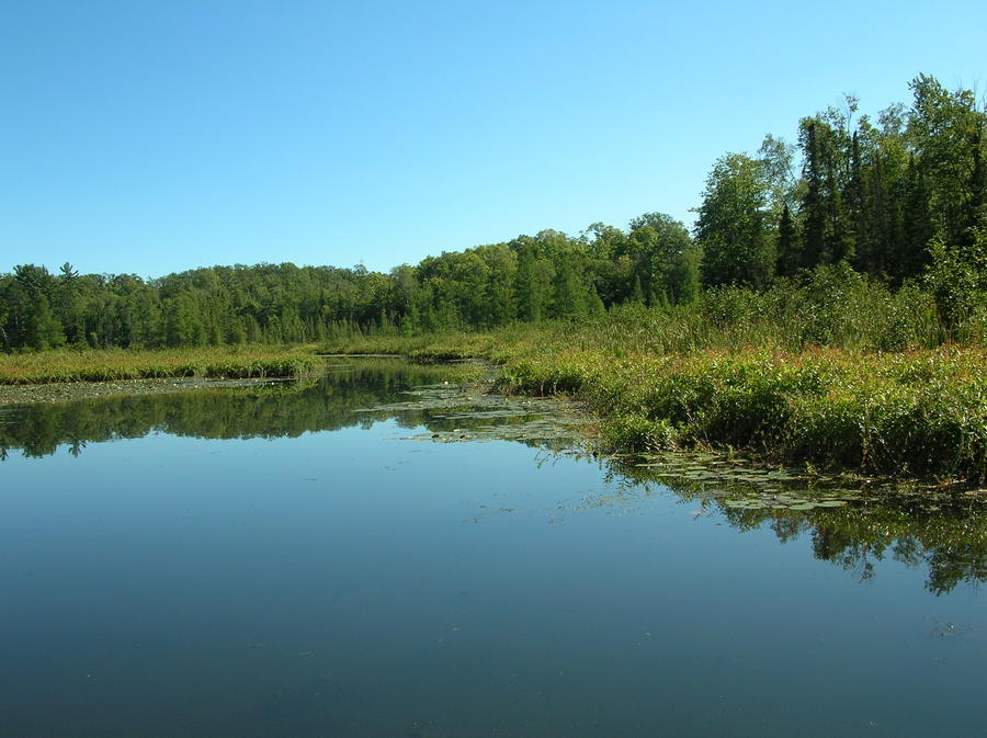 Copy of DSCN3947.JPG