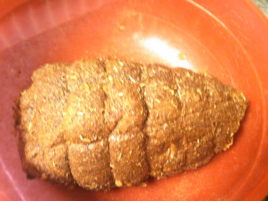 Copy of IMG00020-20110213-0012.jpg